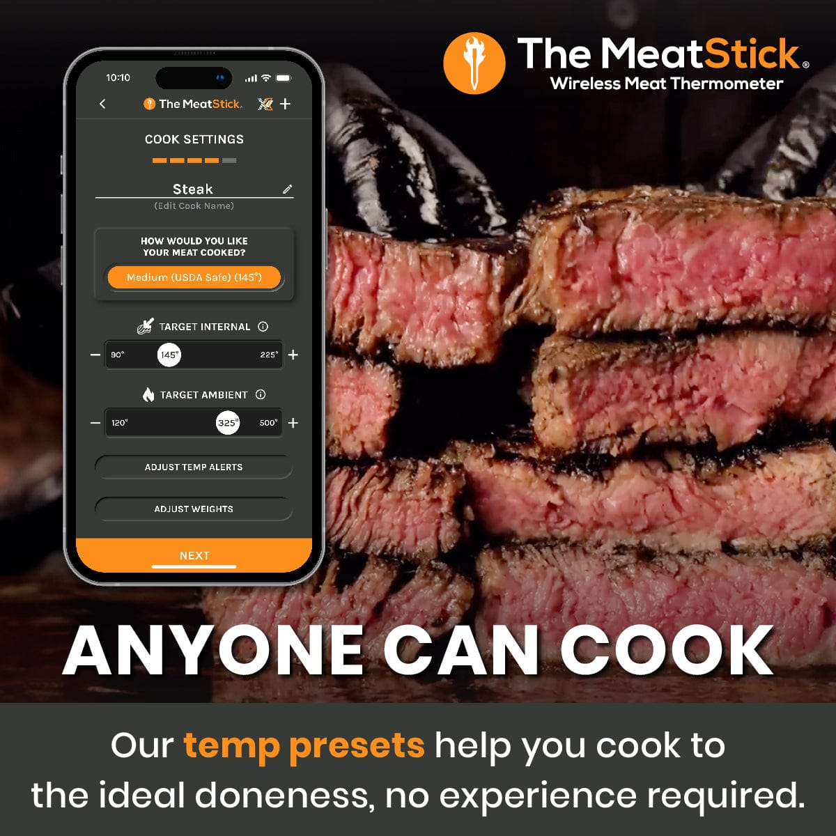 MeatStick 4X Set | BBQBoards